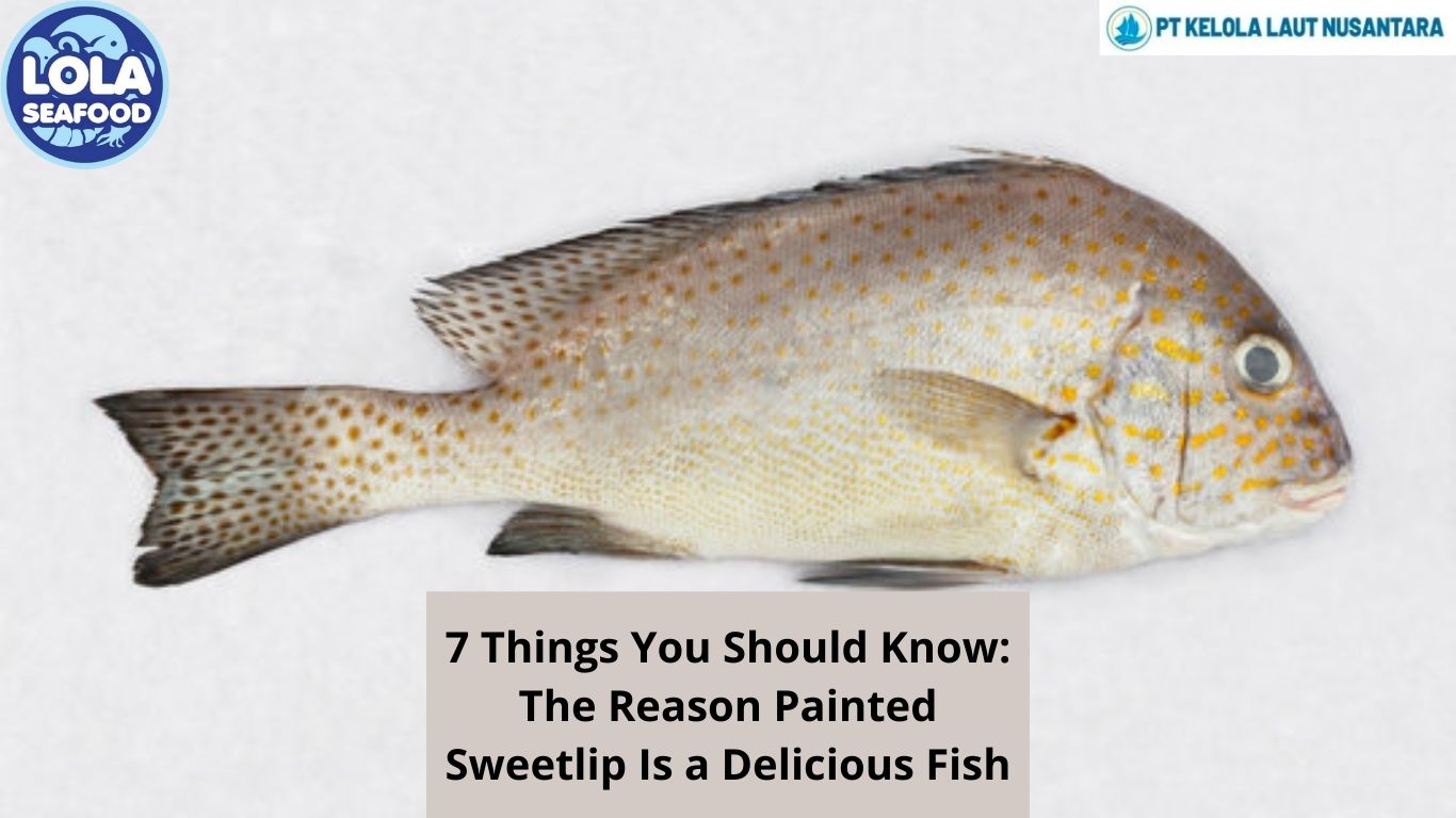 7 Things You Should Know: The Reason Painted Sweetlip Is a Delicious Fish